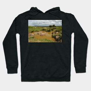 Up On The Quantocks Hoodie